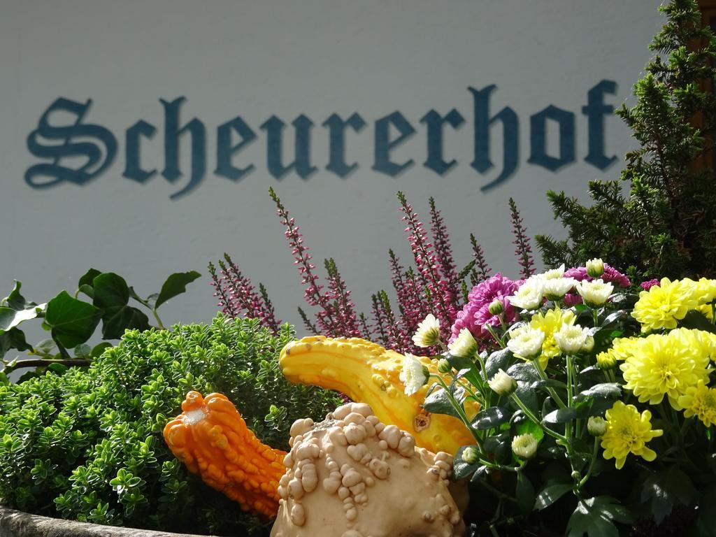 Scheurerhof Apartamento Tux Quarto foto